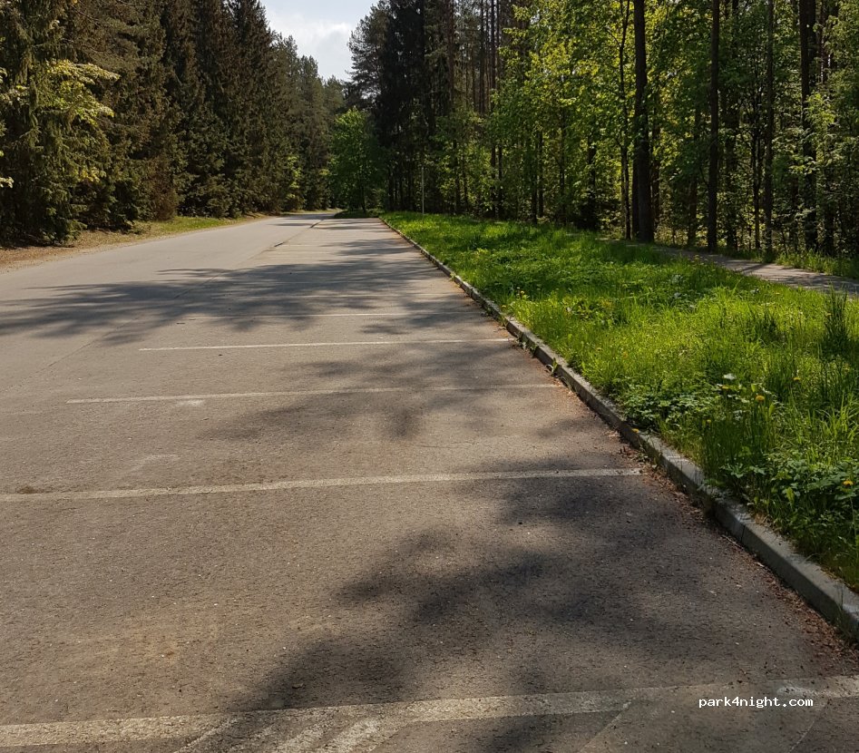 (90441) Plateliai - Unnamed Road — foto