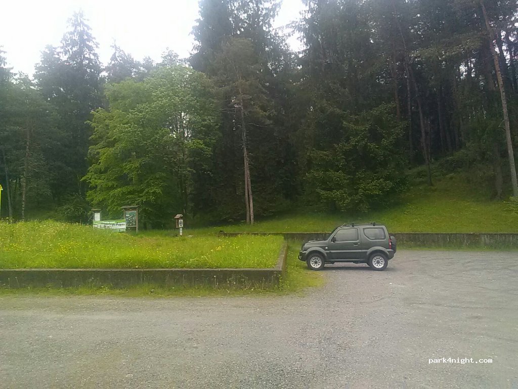 (24023) Clusone - Viale A. Manzoni — foto 2