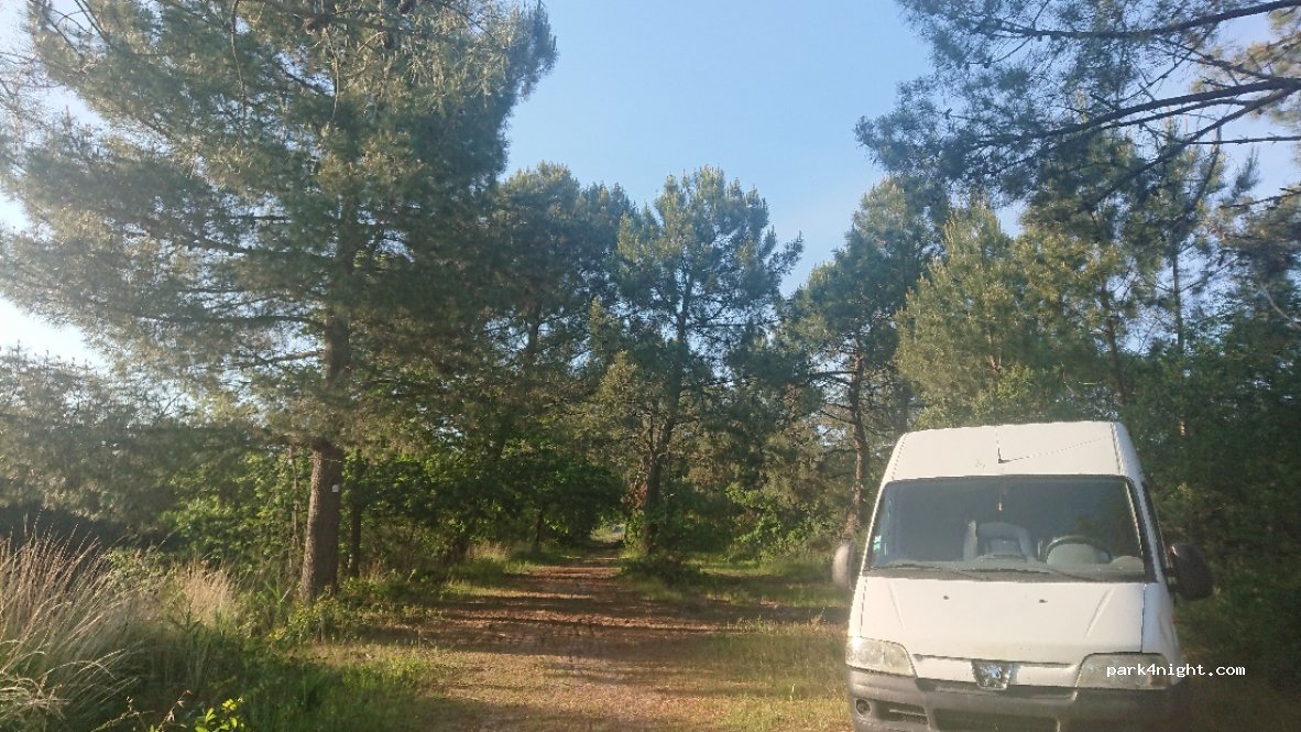(40600) Biscarrosse - Unnamed Road — foto 2