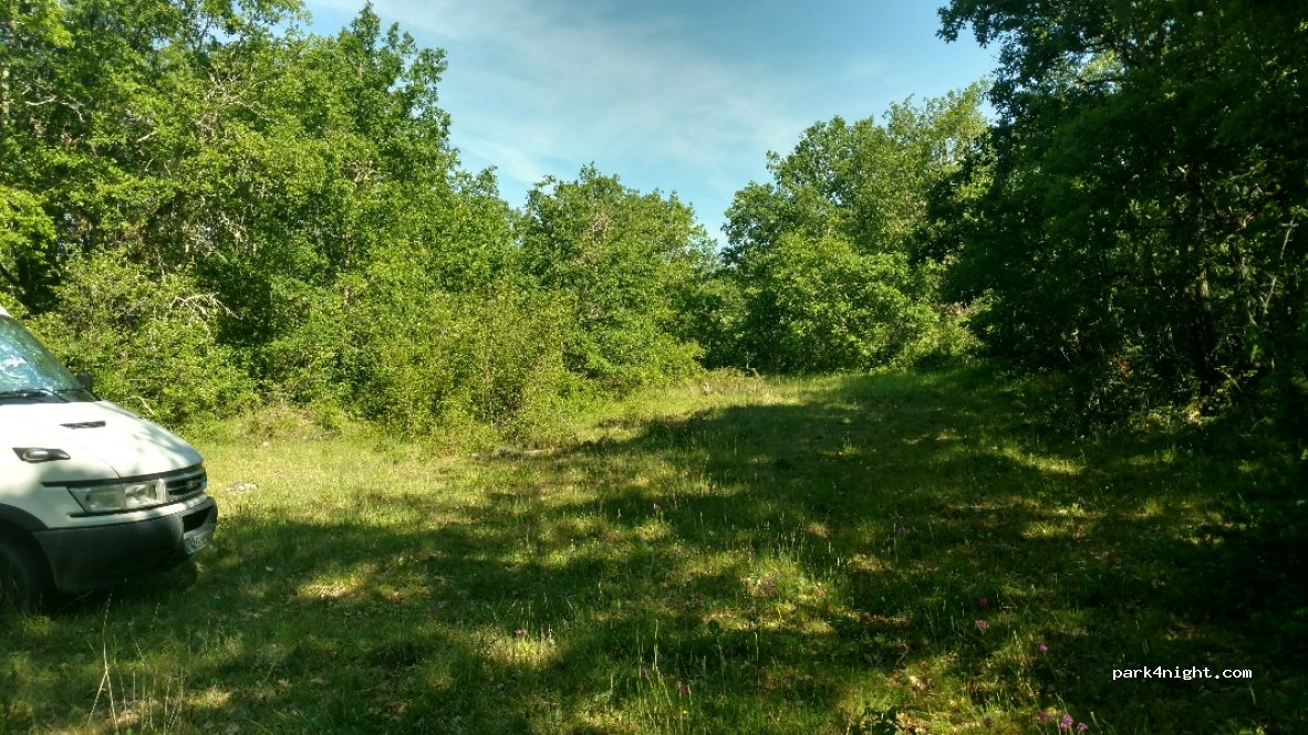 (24510) Paunat - D2 — foto 2