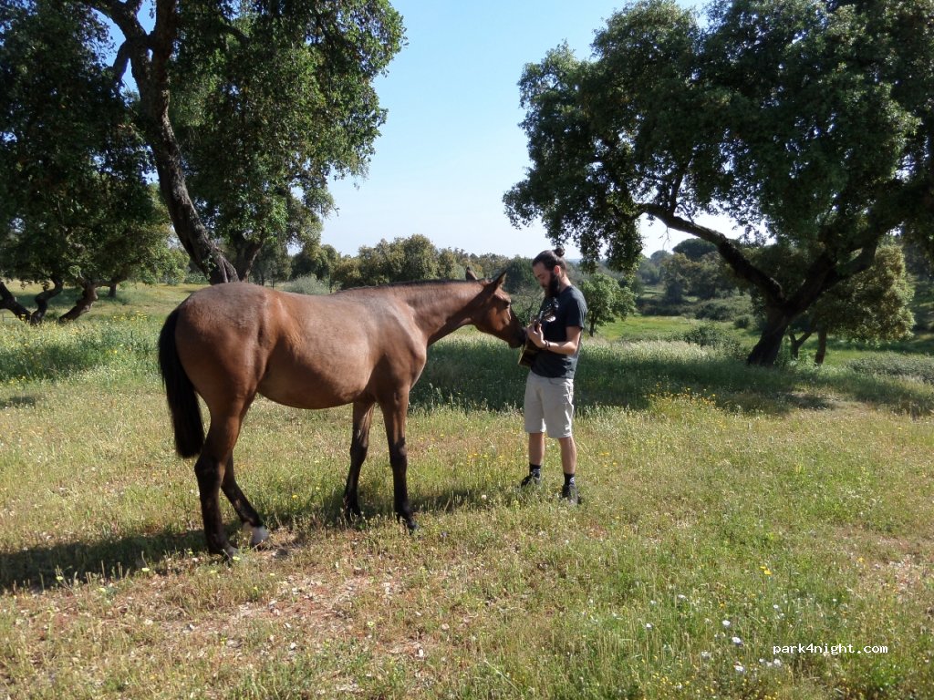 Quinta Centro Lusitano Portugal — foto