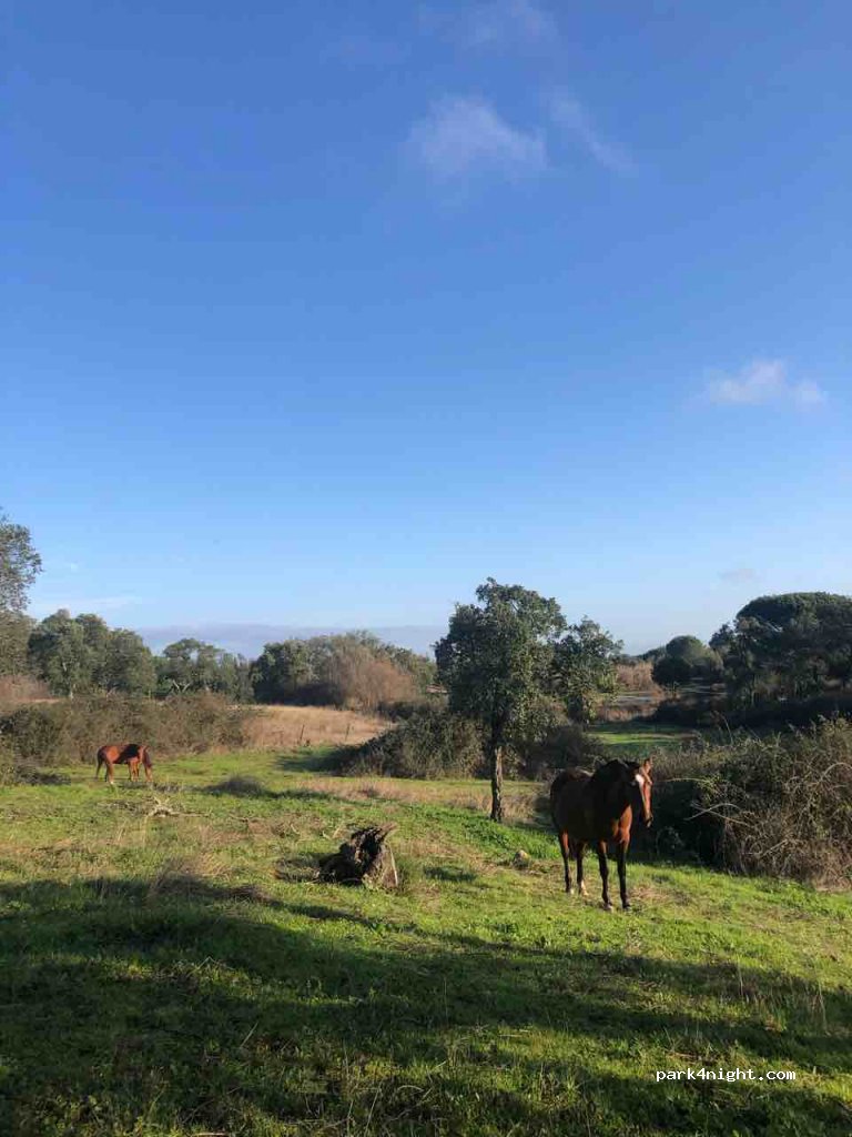 Quinta Centro Lusitano Portugal — foto 3