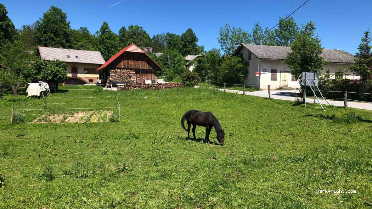 (1313) Struge - 7 Pri Cerkvi - Struge — foto 3