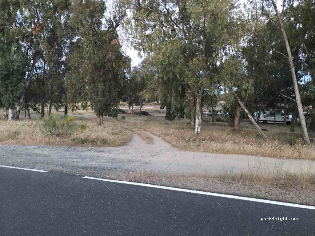 (10164) Cáceres - CC-142 — foto 2