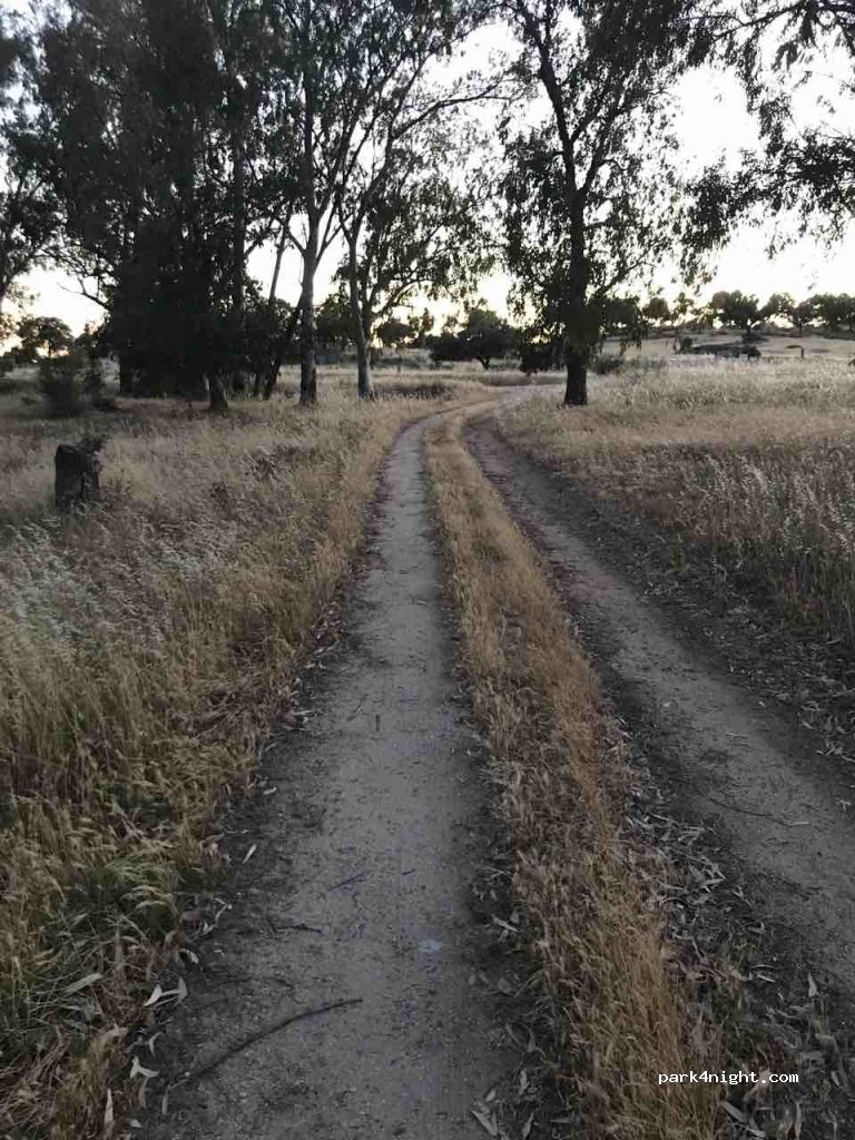 (10164) Cáceres - CC-142 — foto 3