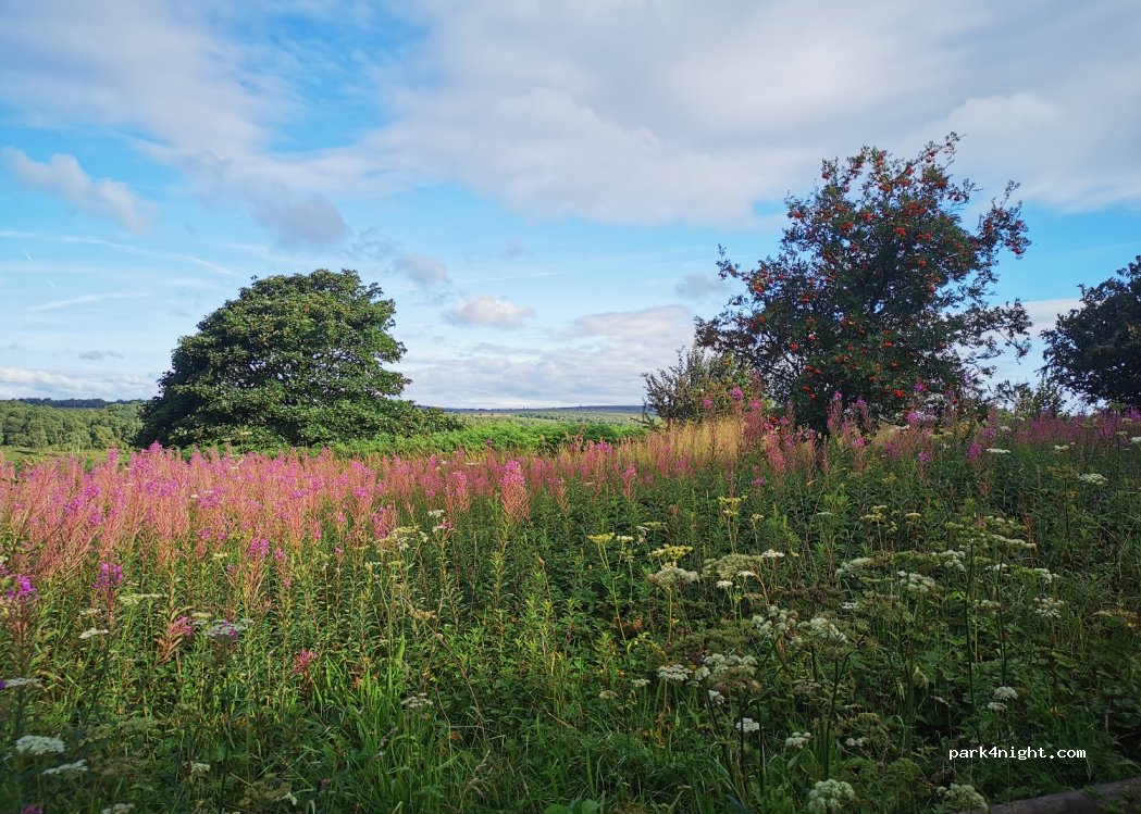 (S18 7WG)  - Fox Lane — foto 3