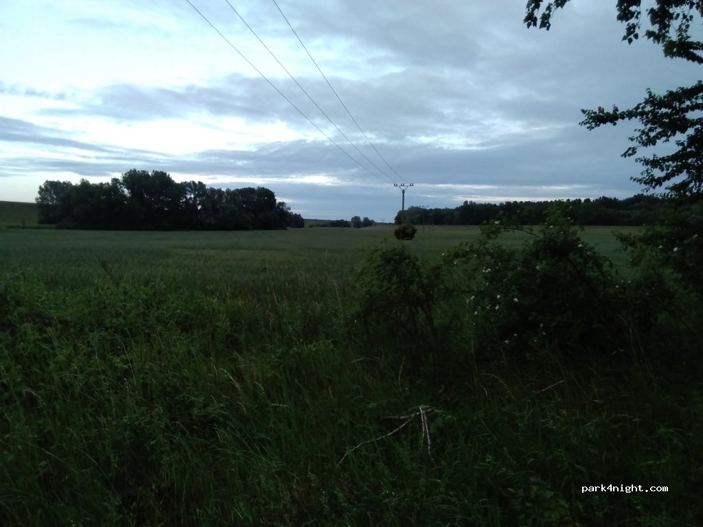 (930 31) Bodíky - 1421 — foto 3