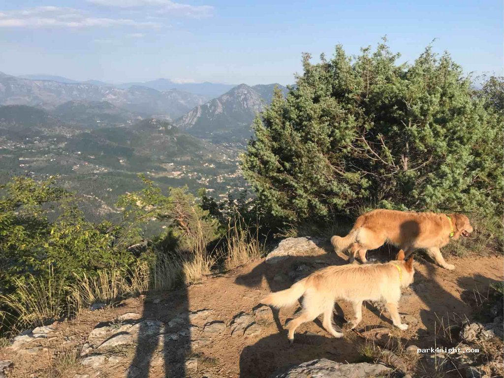 (06440) Lucéram - D54 — foto 3