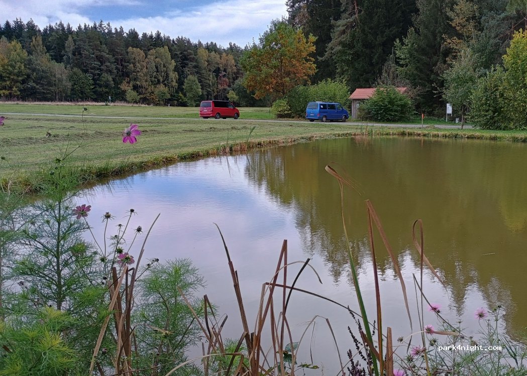 (92554) Thanstein - Prackendorfer und Kulzer Moos — foto 3