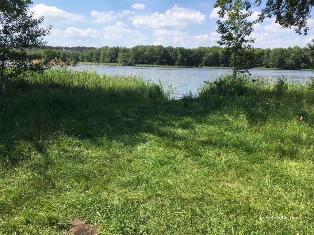 (74-311) Ostrowiec - Unnamed Road — foto