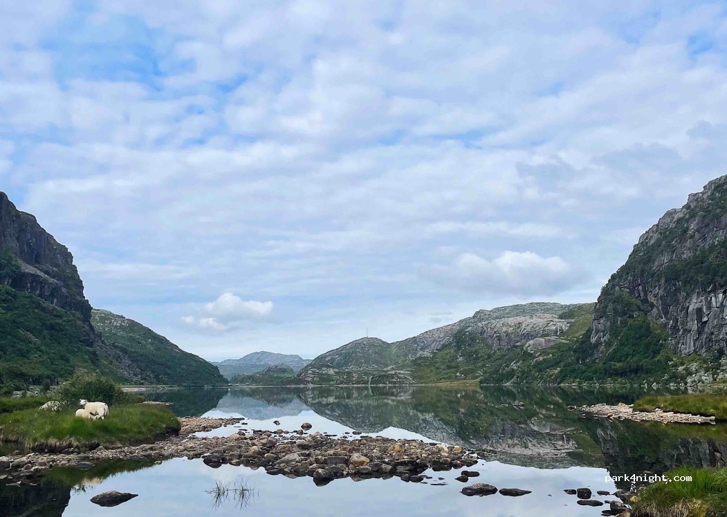 (4443) - Primær Fylkesveg 45 — foto 3