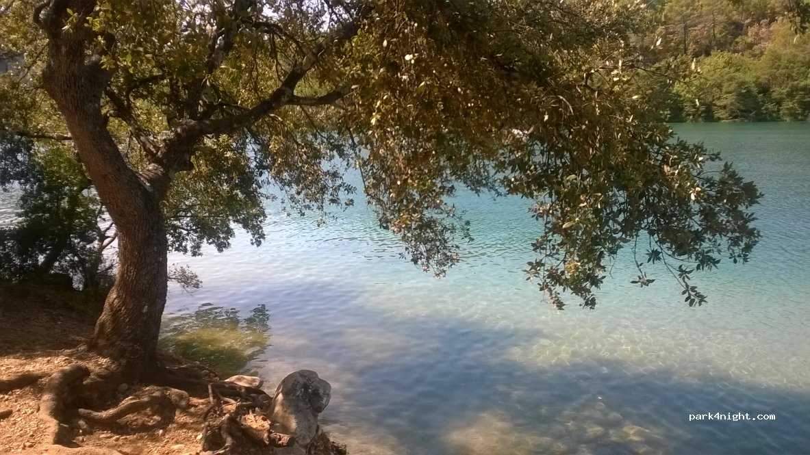 () Esparron-de-Verdon - — foto