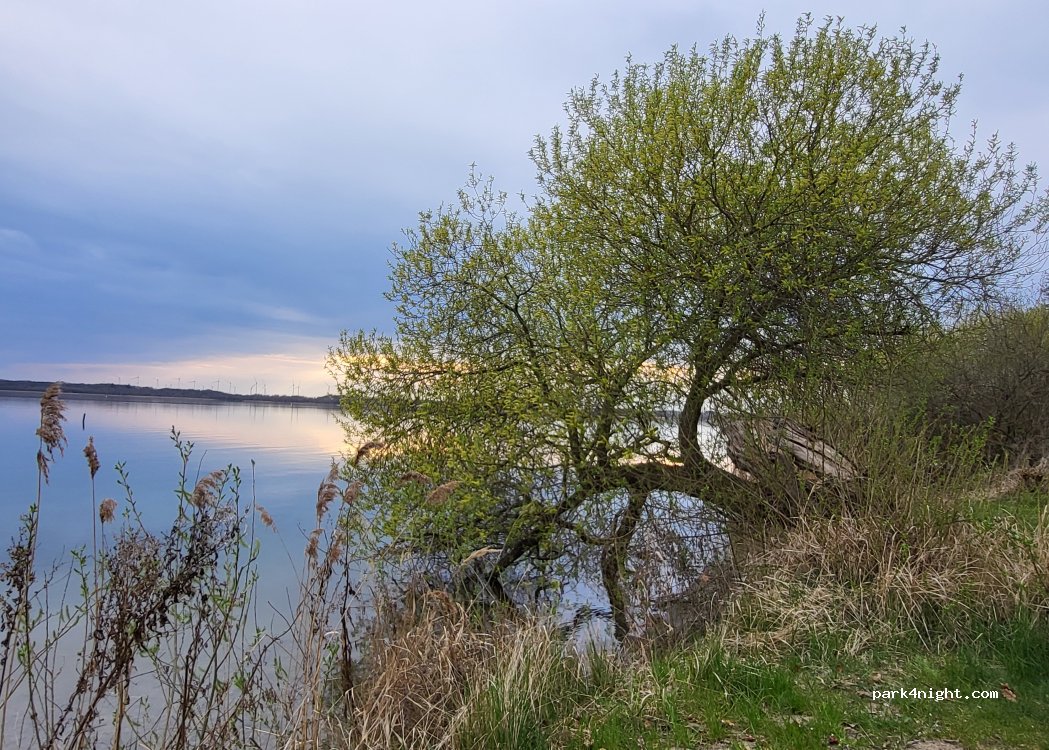 Camping am See — foto 5