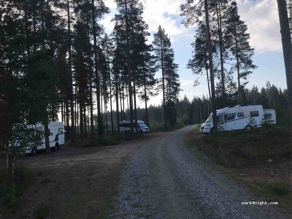 (770 12) Sunnansjö - Långvasselheden — foto