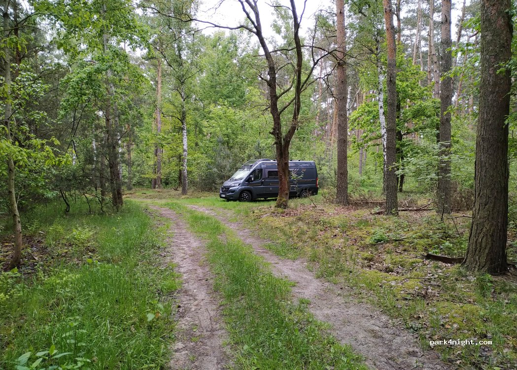(63-313) Stara Kaźmierka - — foto