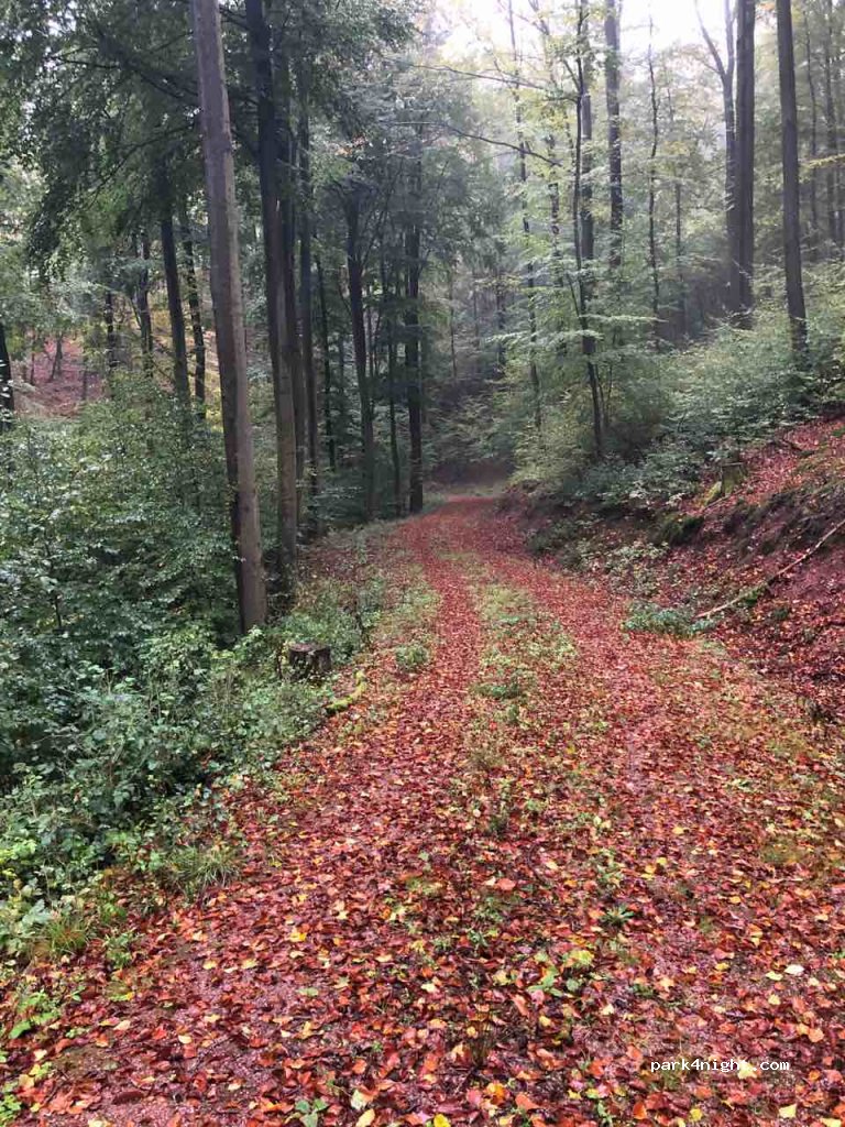 (99817) Eisenach - Rennsteig — foto 3