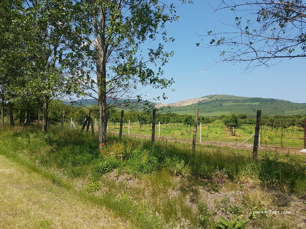 (3907) Tállya - Rákóczi utca — foto
