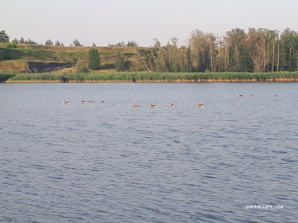 (44-100) Przyszowice - Brzozowa / Jezioro Farskie — foto
