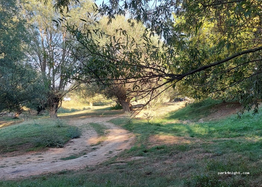 (307395) Șag - Unnamed Road — foto 3
