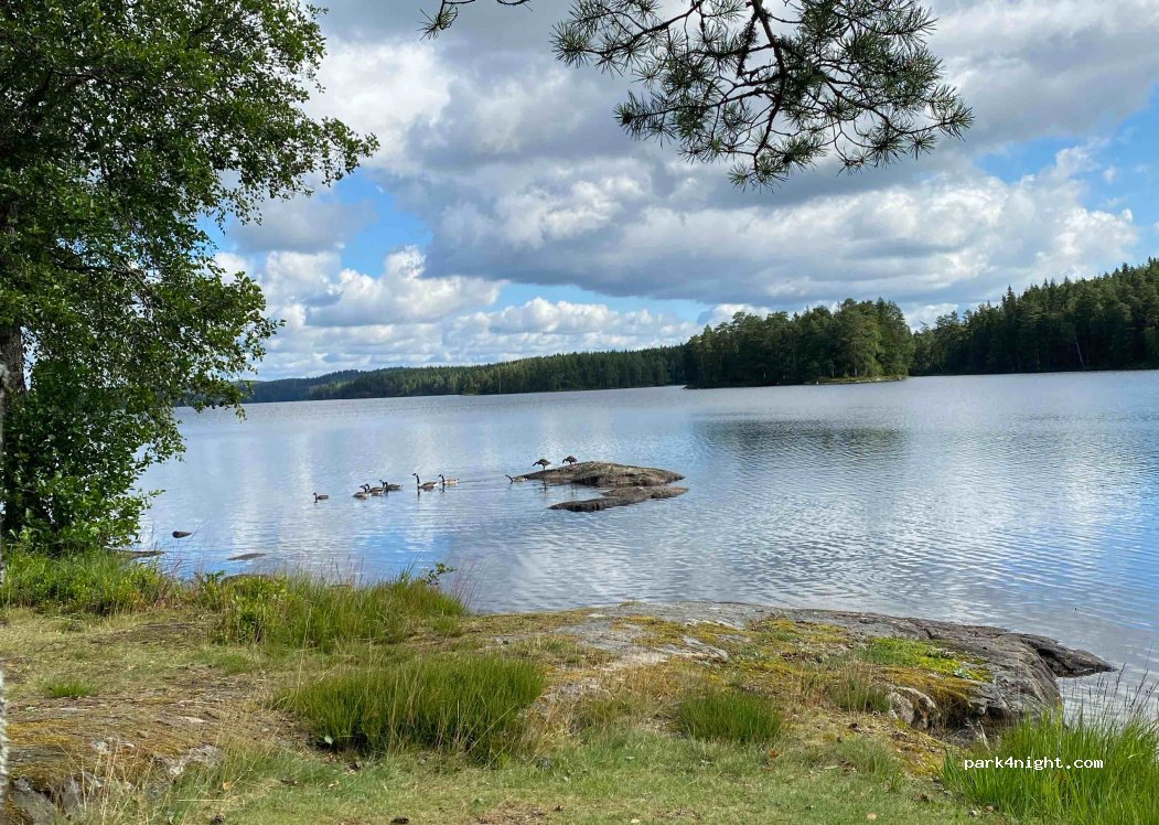 (662 91) Åmål - Forsbacka — foto 4