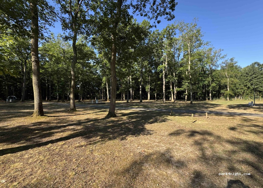 Montargis Camping de la Forêt***. — foto 4
