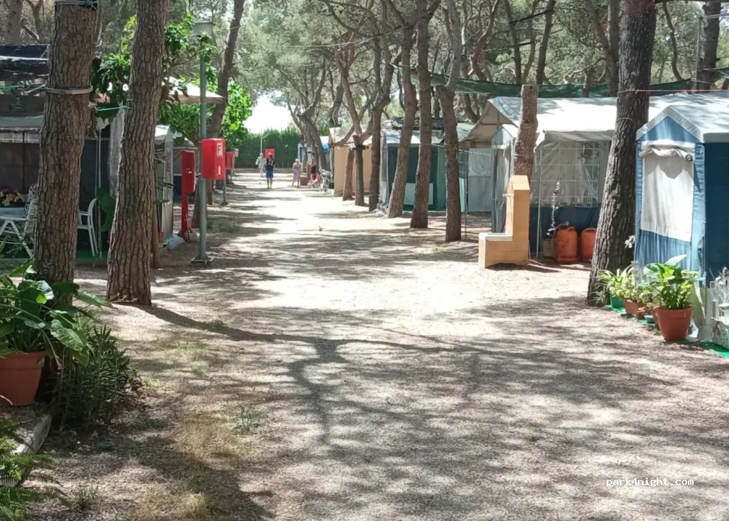 Camping La Noria — foto 3