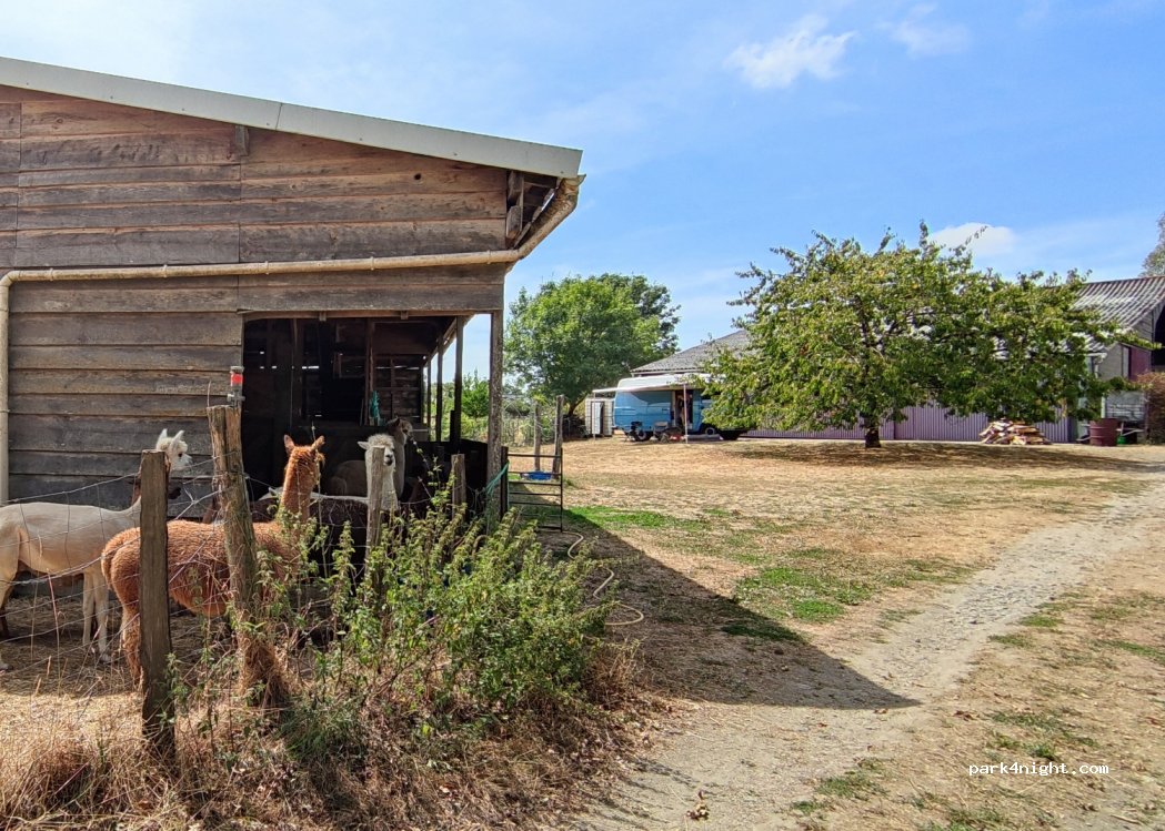 Ferme Brin de Laine Brin de Paille — foto