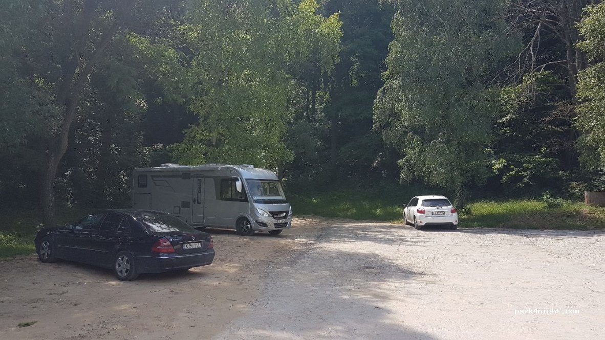(6442) Bursuc - Unnamed Road — foto