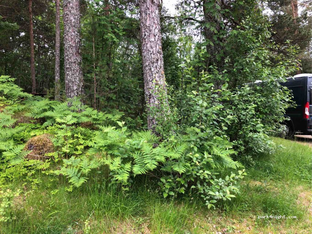 (6630)  - Riksvei 70 — foto 2