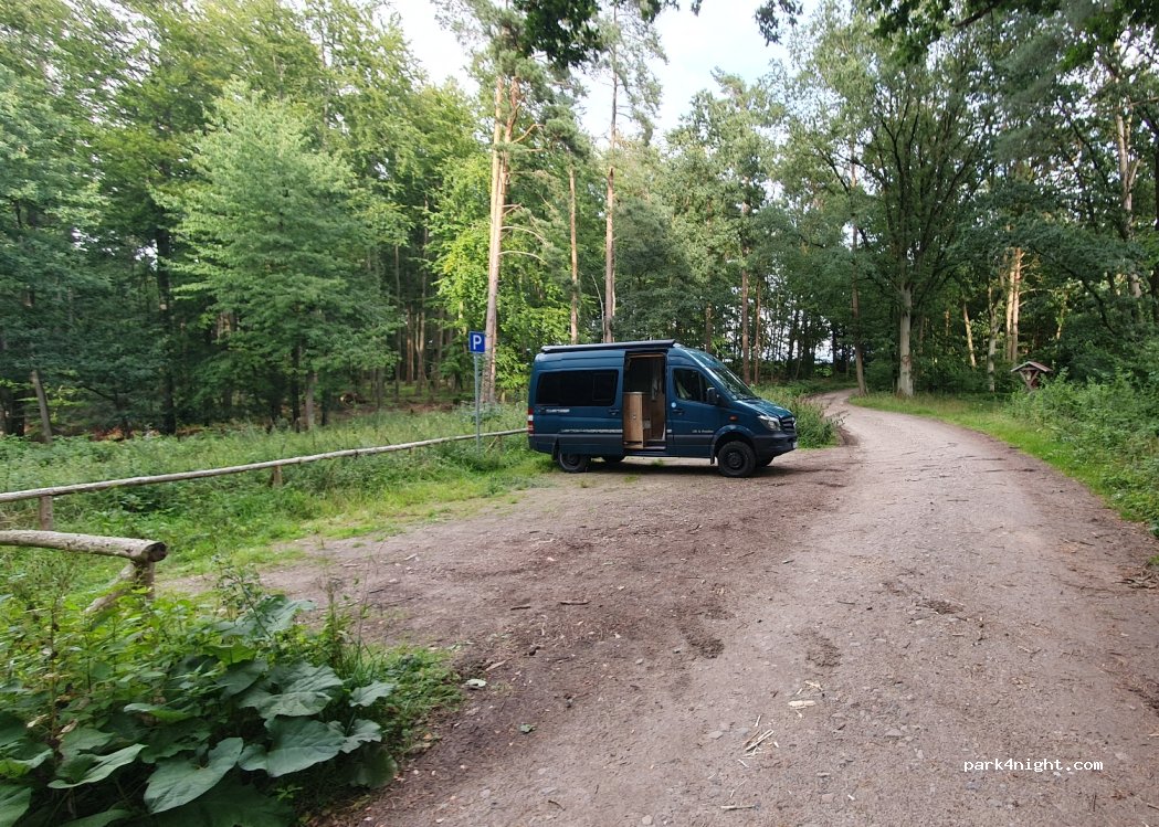 () Röbel/Müritz - Kroneiche — foto 3