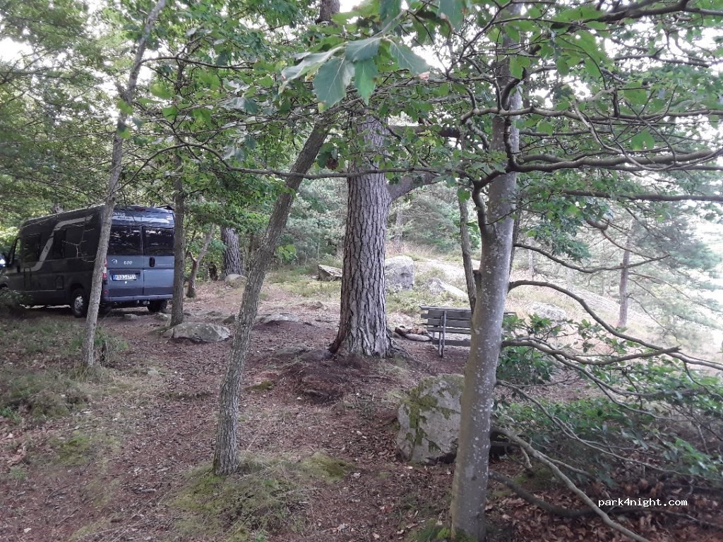 (290 37) Arkelstorp - 1 Södra BJÖRKÖ — foto
