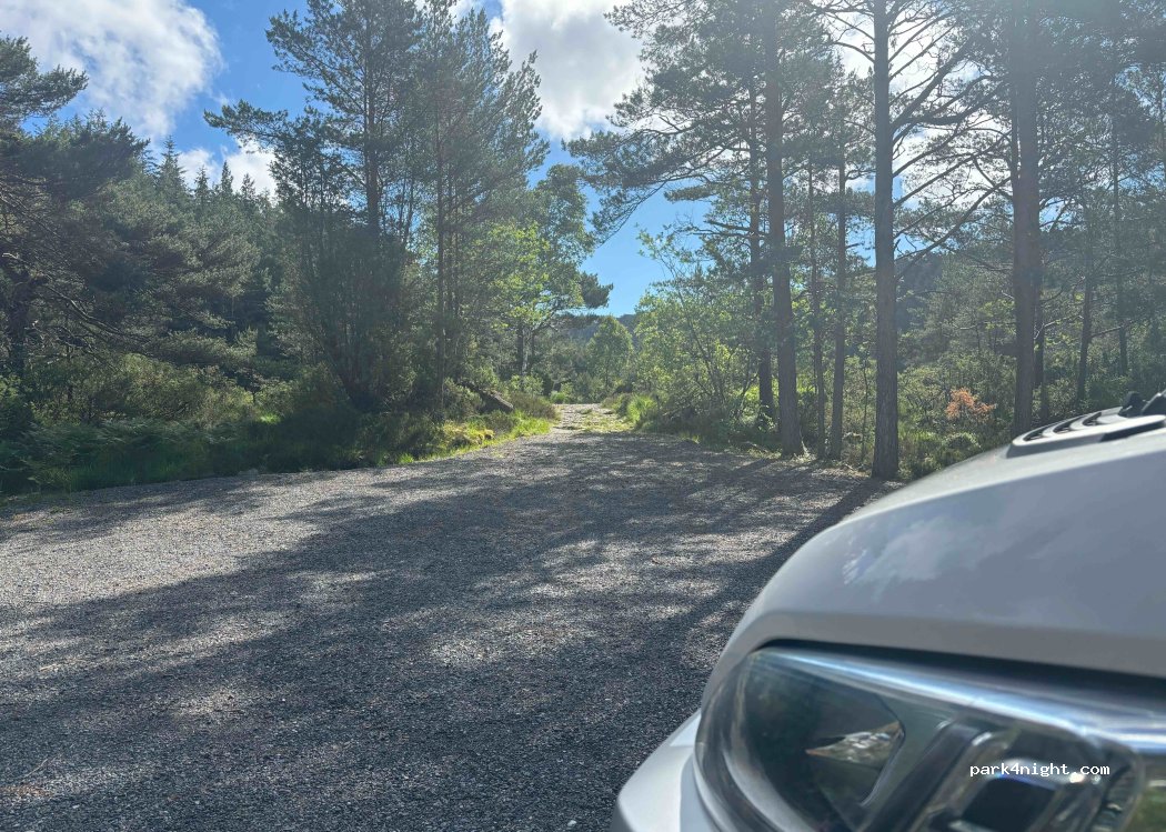 (5419) - Fitjarvegen — foto 3