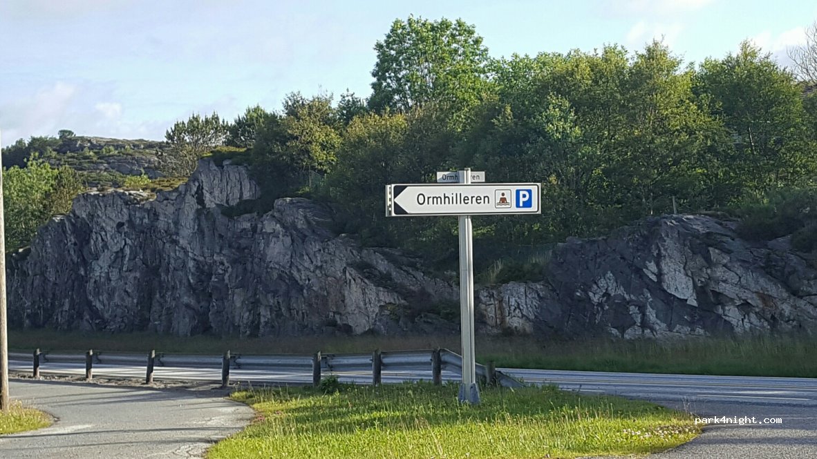 (5337) Rong - 31 Pålsneset — foto