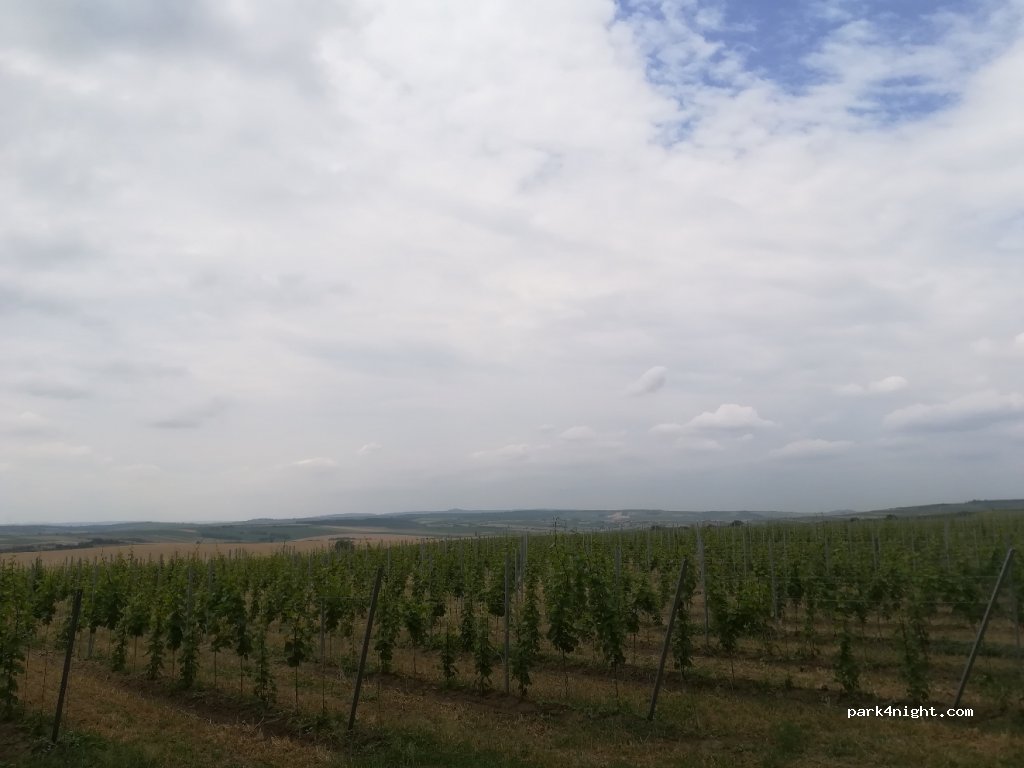 (691 42) Valtice - 41415 — foto 2