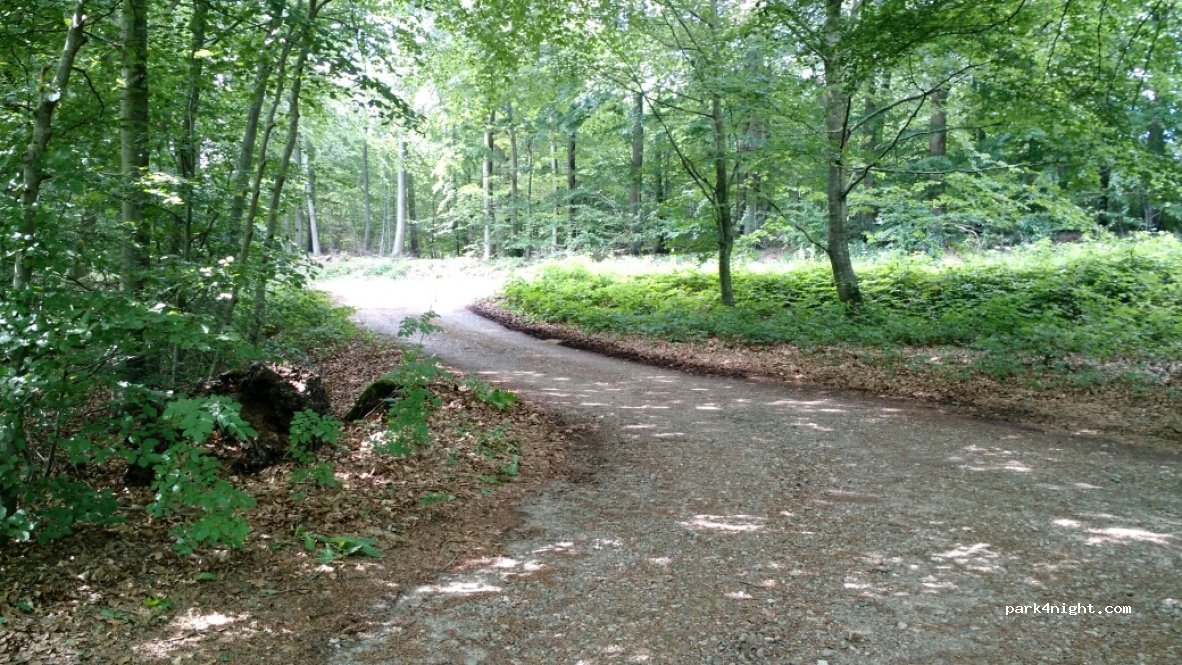 (6630) Rødding - Koldingvej — foto 2