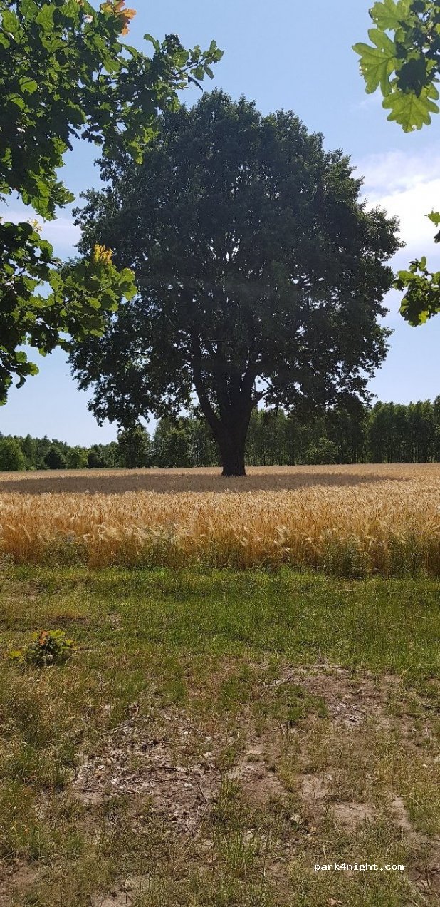 (26-332) Sławno - Unnamed Road — foto