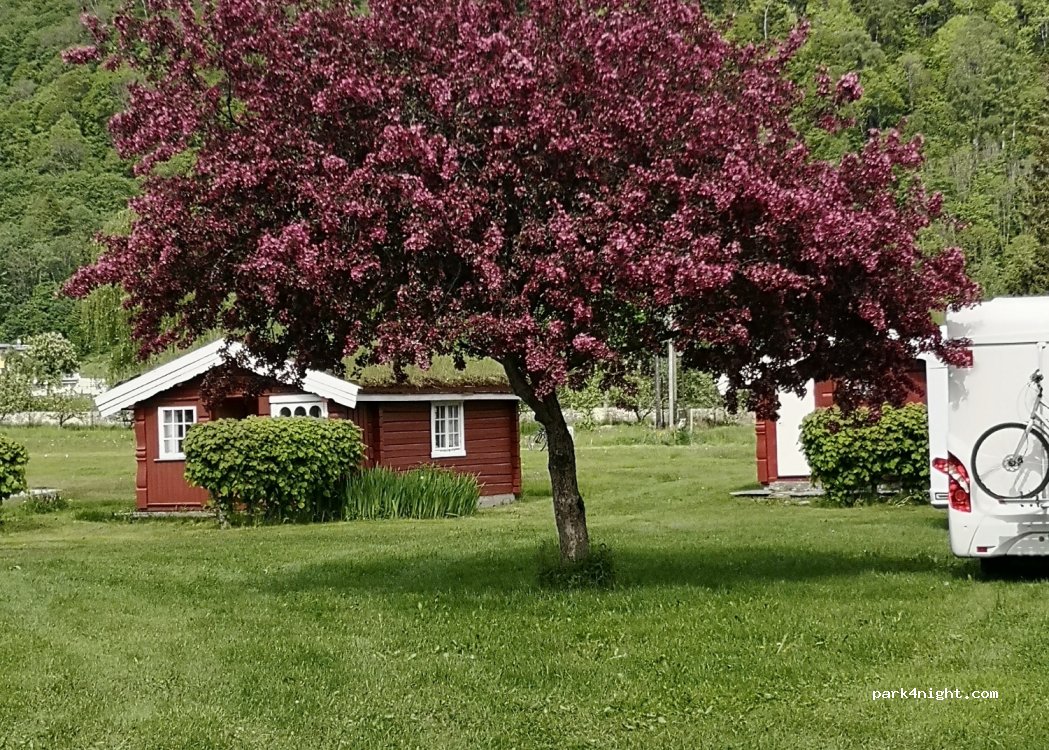 Dalsøren Camping — foto 4