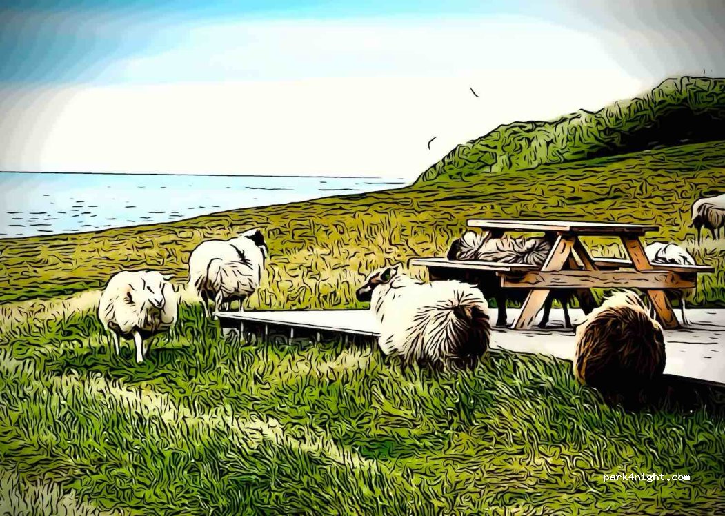 Skálavíkurvegur — foto 5