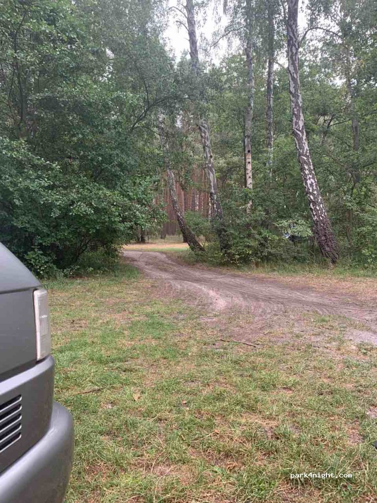 (66-203) Nowy Dworek - Unnamed road — foto