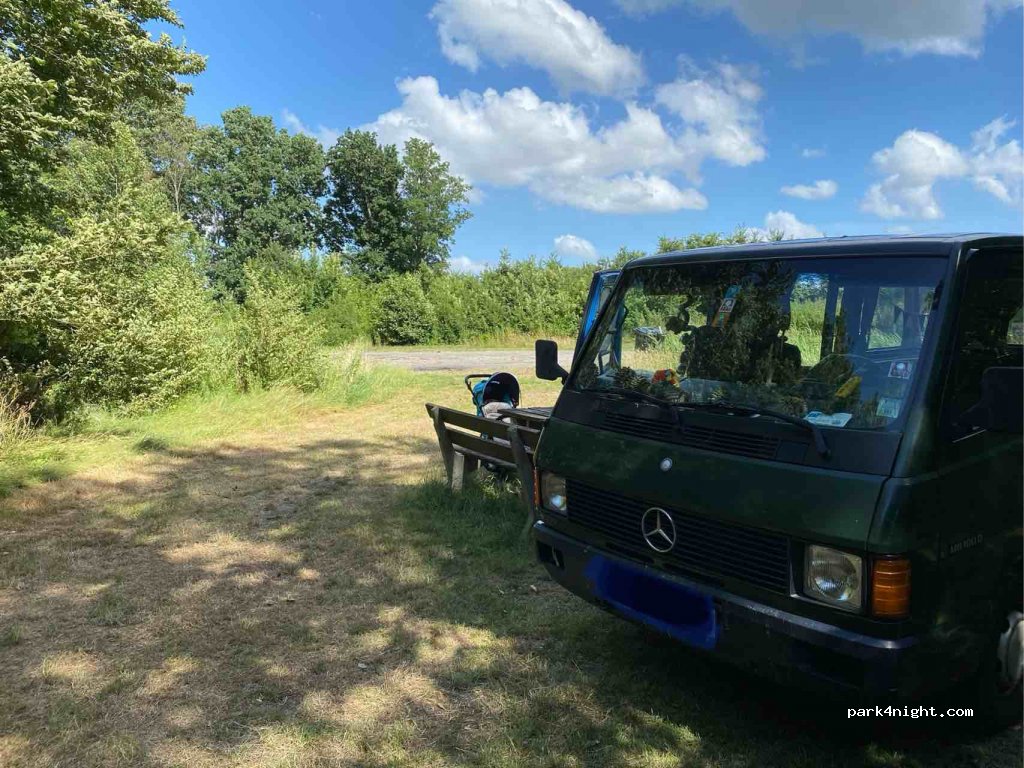 (8721 EX) Warns - 10 Skarl — foto