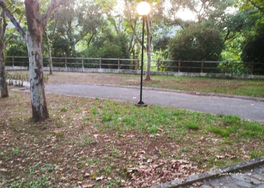 Góis Camping — foto 4