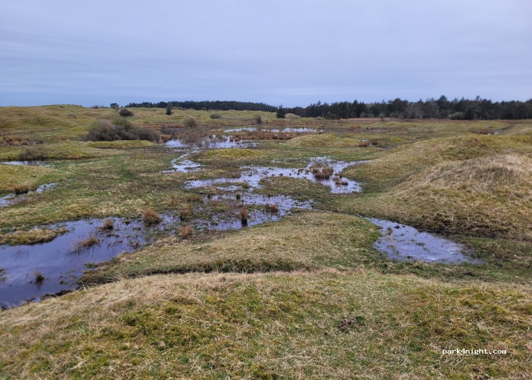 (9800) Hjørring - Nørlev Strandvej — foto