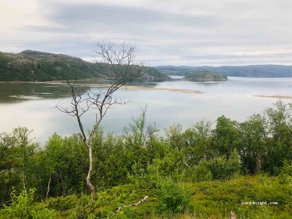 (9740) - 1 Sekundær Fylkesvei 98 — foto 2