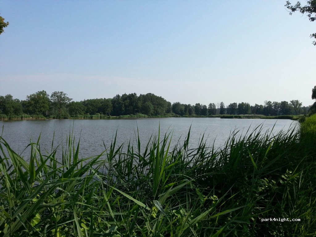 (90602) Pyrbaum - St2402 — foto 2