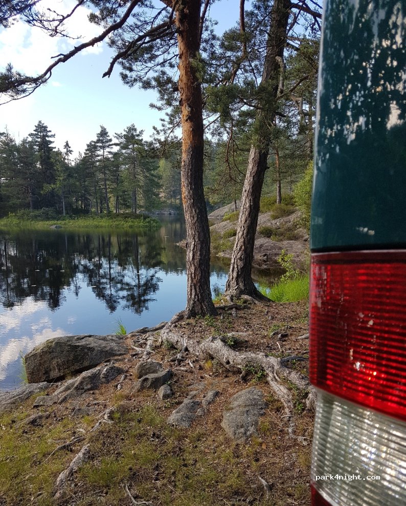 (4990)  - Primær Fylkesveg 351 — foto