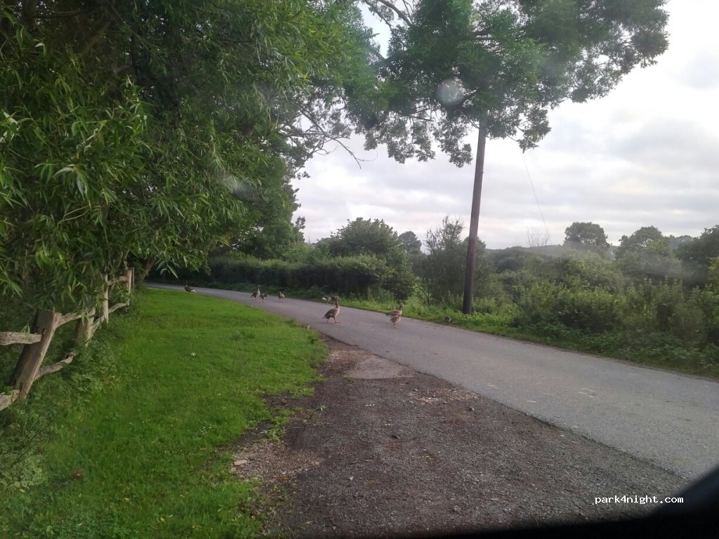 (BN7 3QG) Cooksbridge - Beechwood Lane — foto