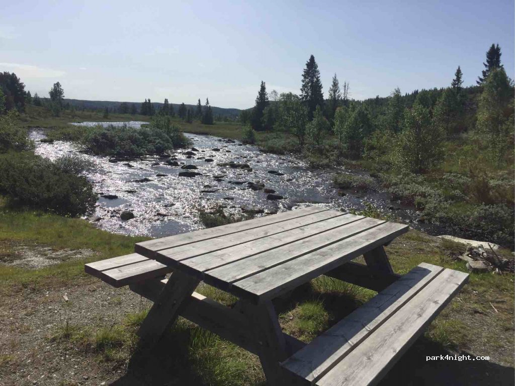 (2940) Heggenes - Unnamed Road — foto