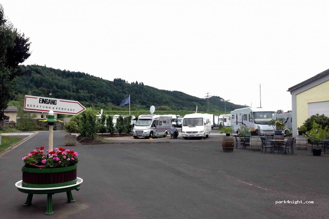 Wohnmobilstellplatz im Weinberg in Ernst — foto