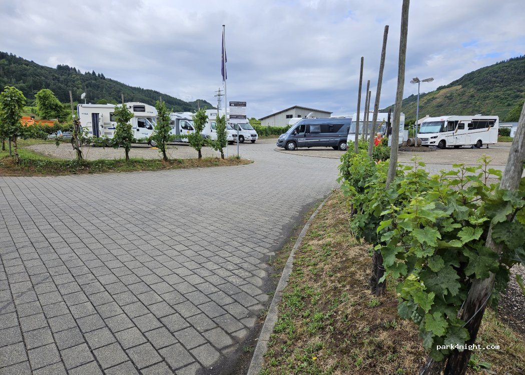 Wohnmobilstellplatz im Weinberg in Ernst — foto 3