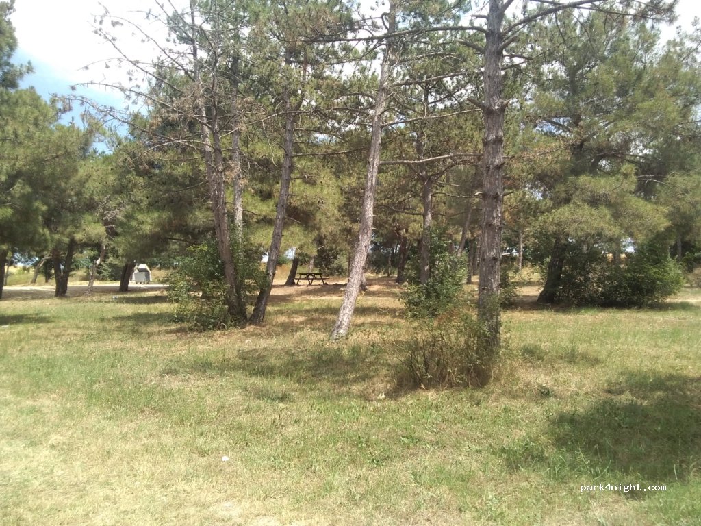 (22532)  - unnamed road — foto 2